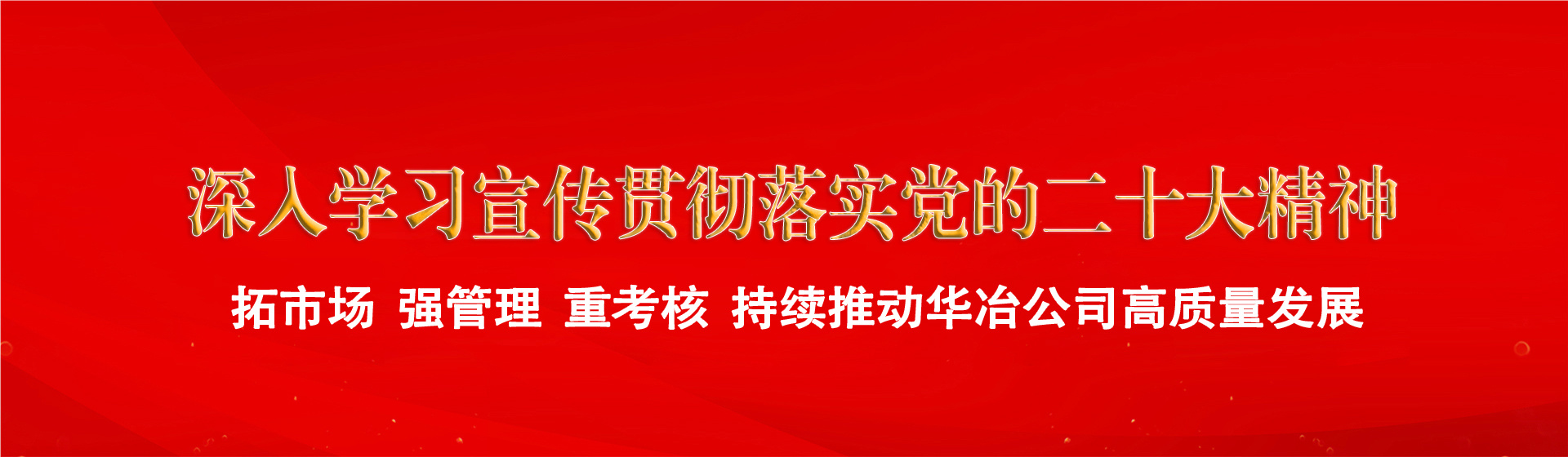 深入学习宣传贯彻落实党的二十大精神