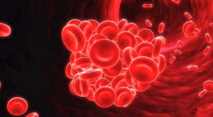 红细胞具有携氧和释氧功能