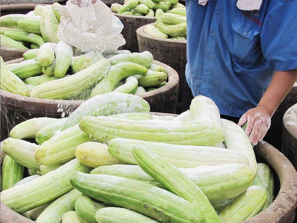 廠容廠貌