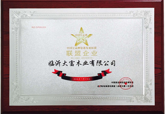 聯(lián)盟企業(yè) 聯(lián)盟企業(yè)