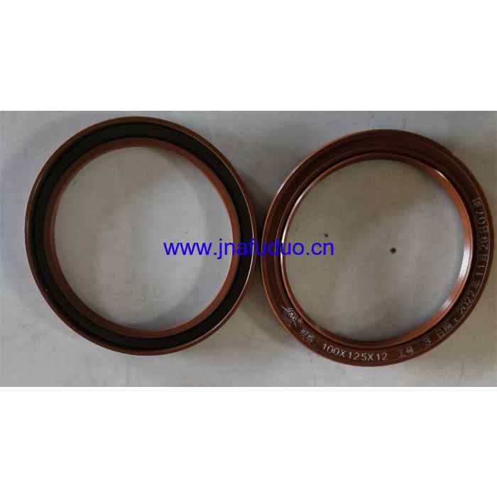 YC209-B100125L  Сальник коленвала задний YUCHAI YC6108G/ YC6B125-T21  (100x125x12)