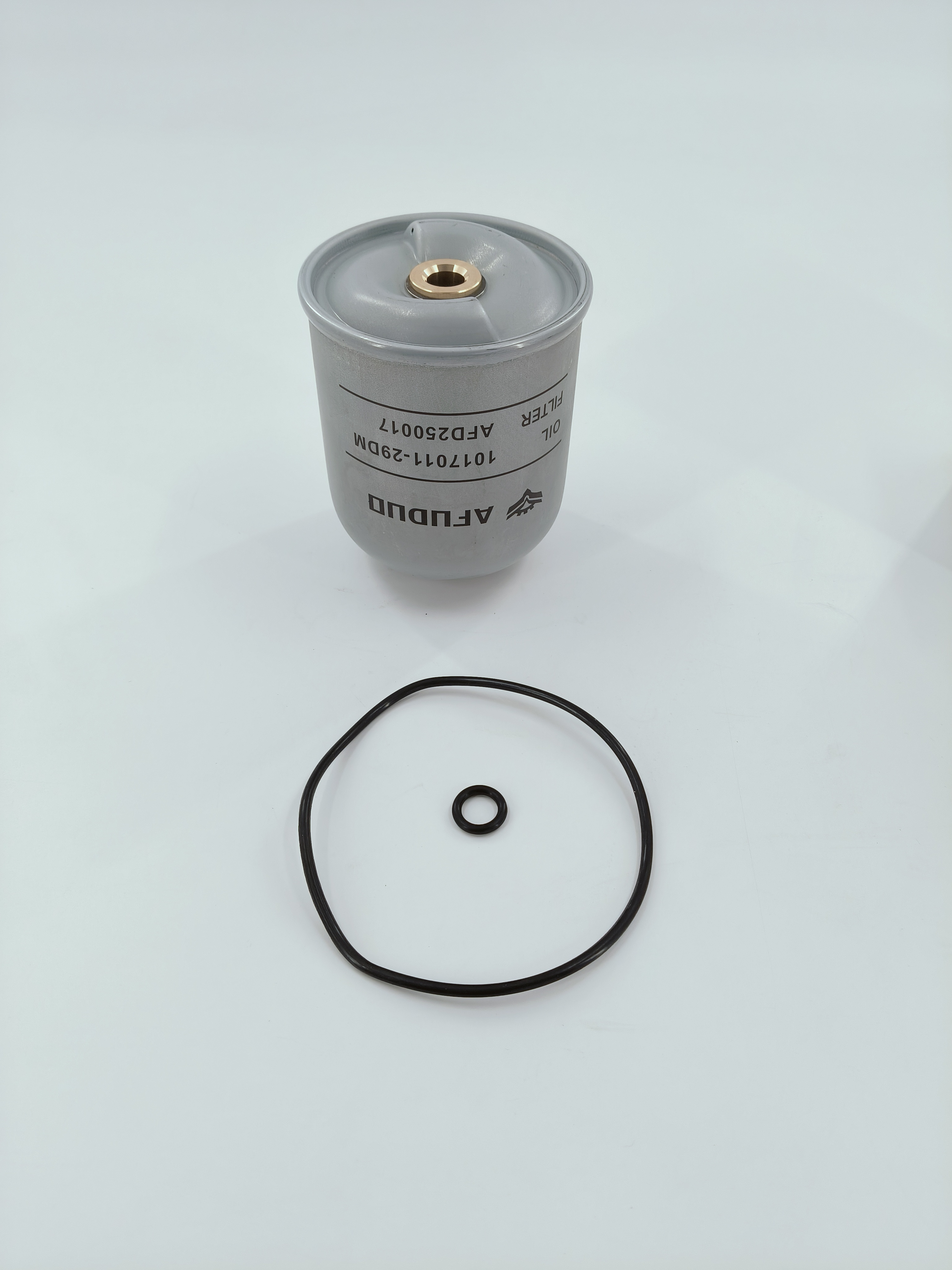 AFD250017	1017011-29DM	OIL FILTER