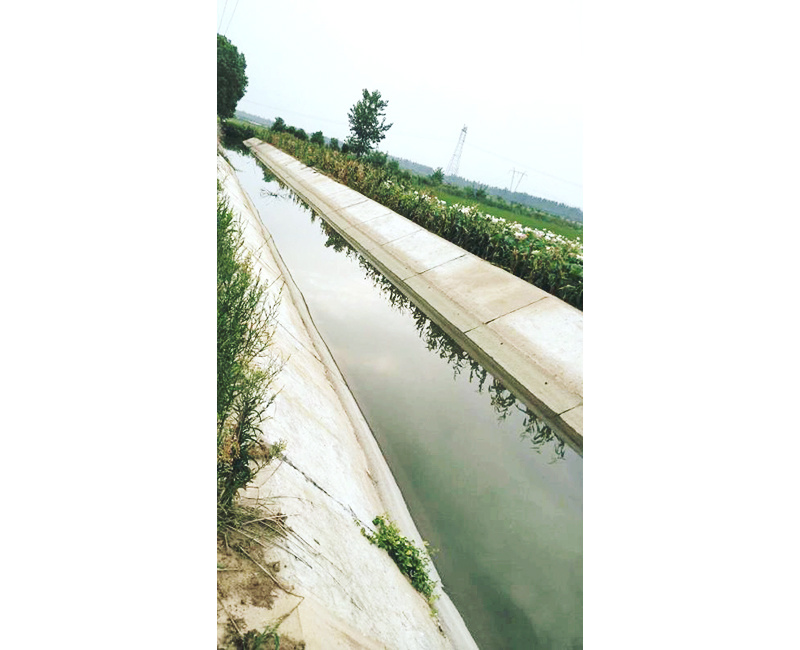 荆州区水产标准化生态健康养殖示范基地建设项目