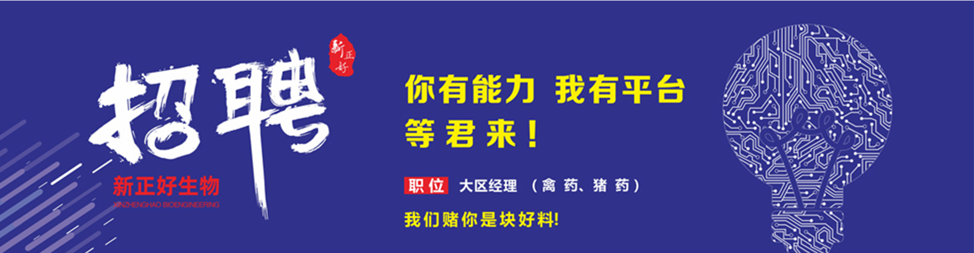 新正好
