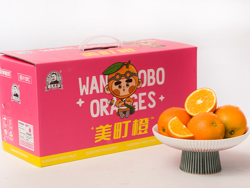 Meimacho Orange