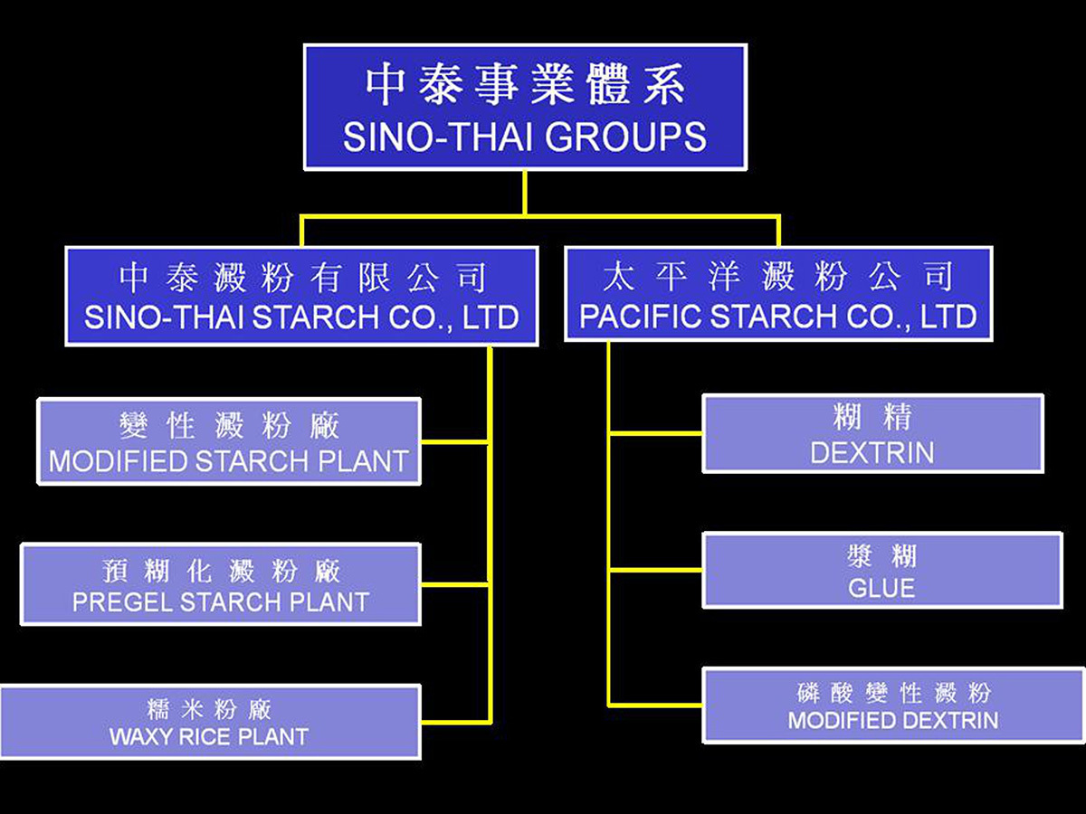 中泰淀粉