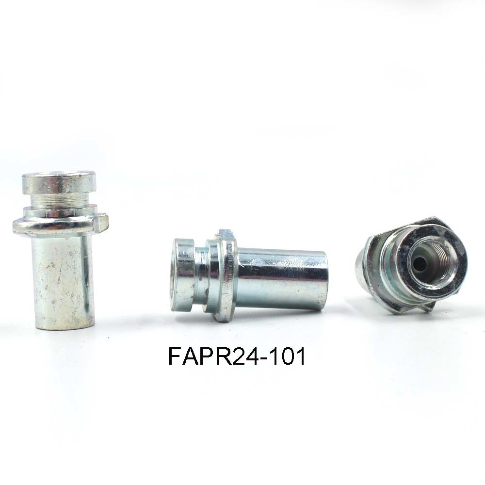 FAPR24-101