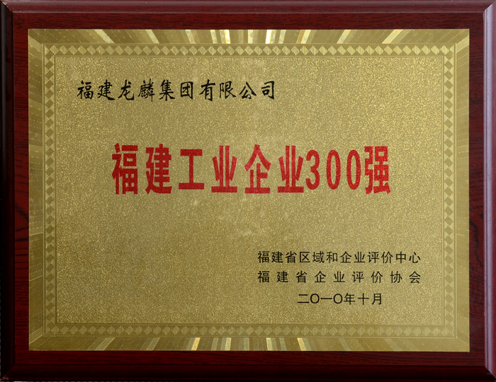 2010福建工業(yè)企業(yè)300強(qiáng)