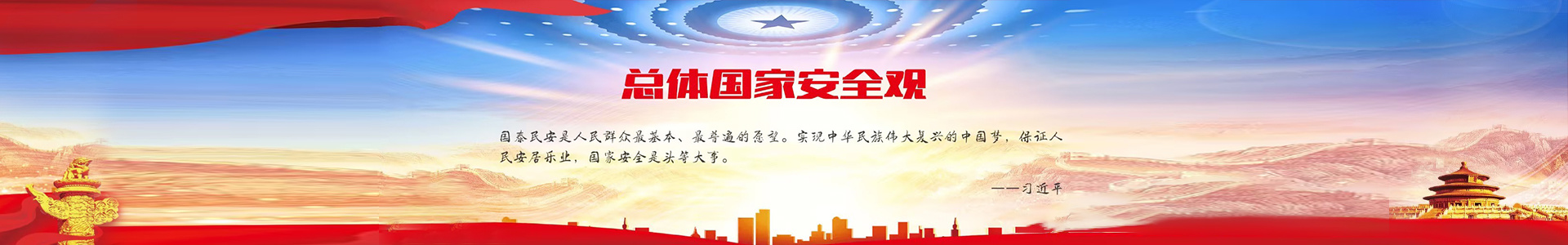 總體國家安全觀