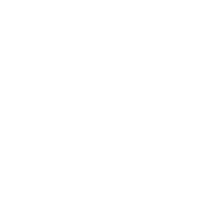 Ozone generator