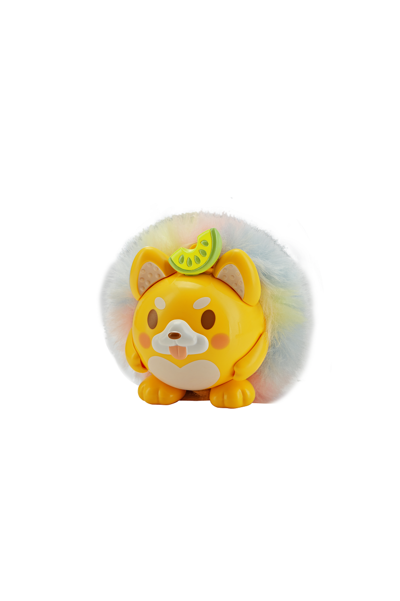 Melon and dog