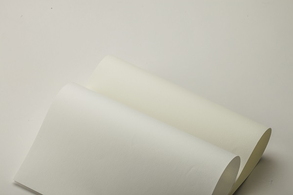 image ® Chinese element imitation promotion