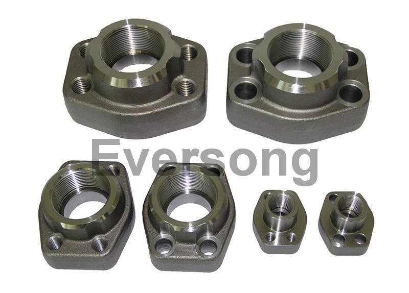 SAE female thread flange with BSPP