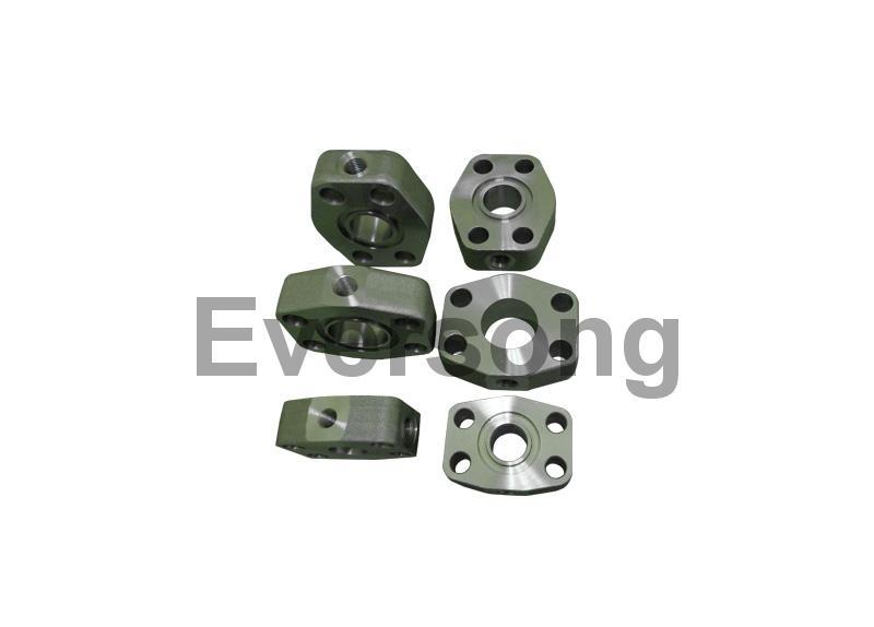 SAE flanges with testing point
