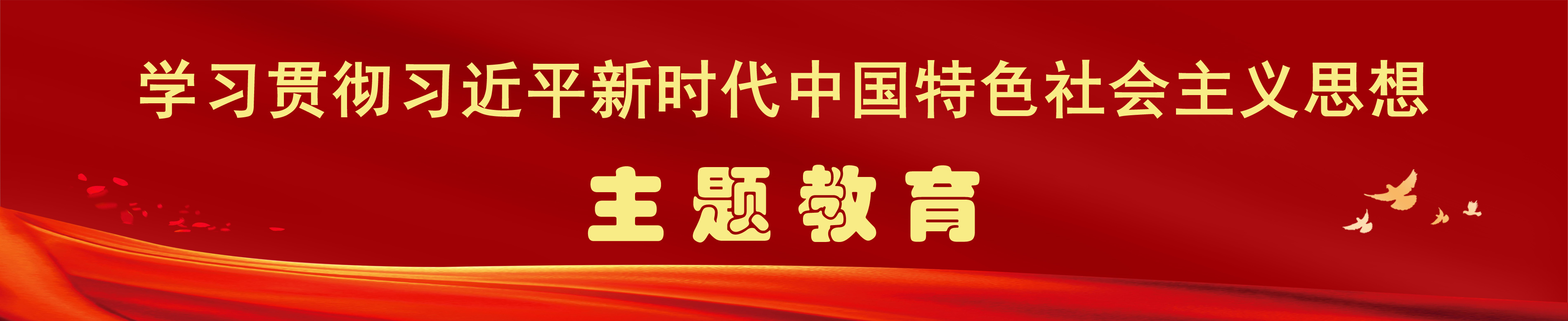 学习贯彻习近平新时代中国特色社会主义思想主题教育