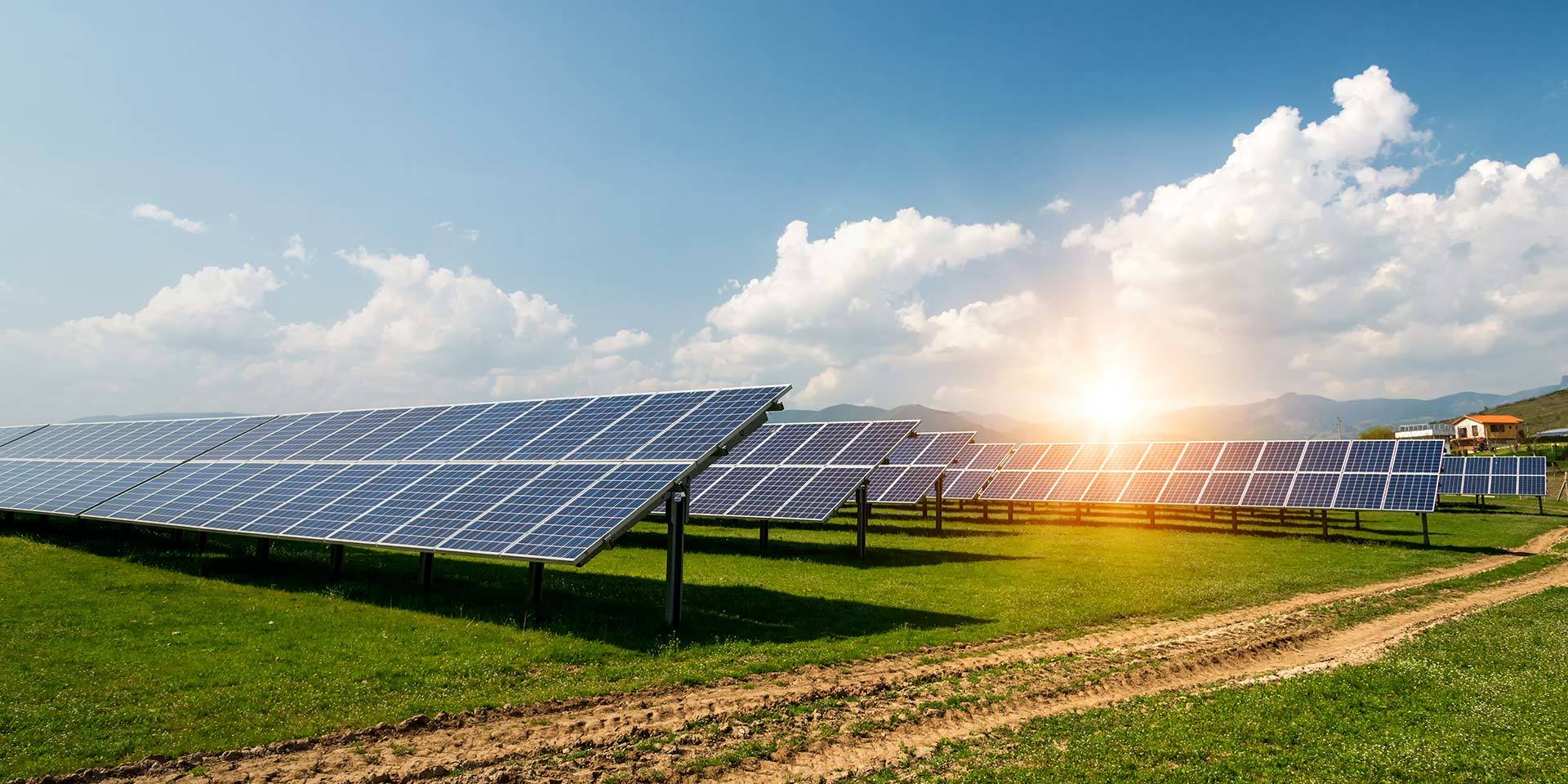 Sharing Success and Contributing Green