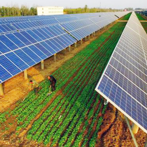 Complementary agriculture and light