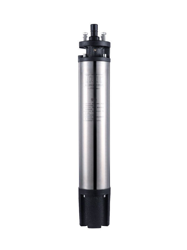 Wholesale submersible borehole water pump  6PLBM  The motor