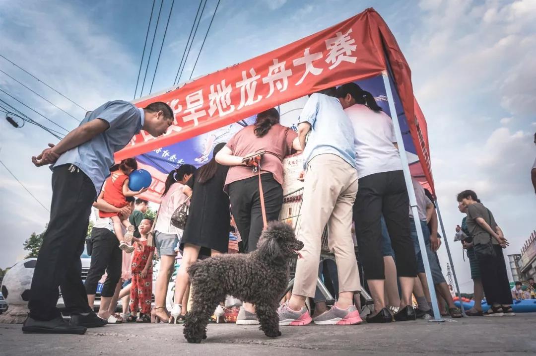 “尋找·最美先帥人”攝影作品在線評選 （第三檔）