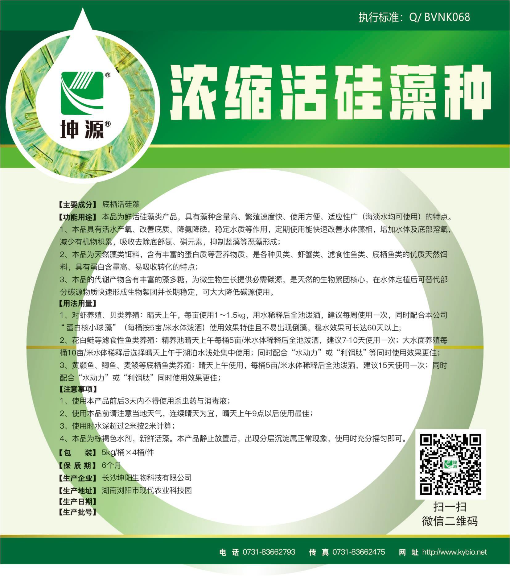 濃縮活硅藻種