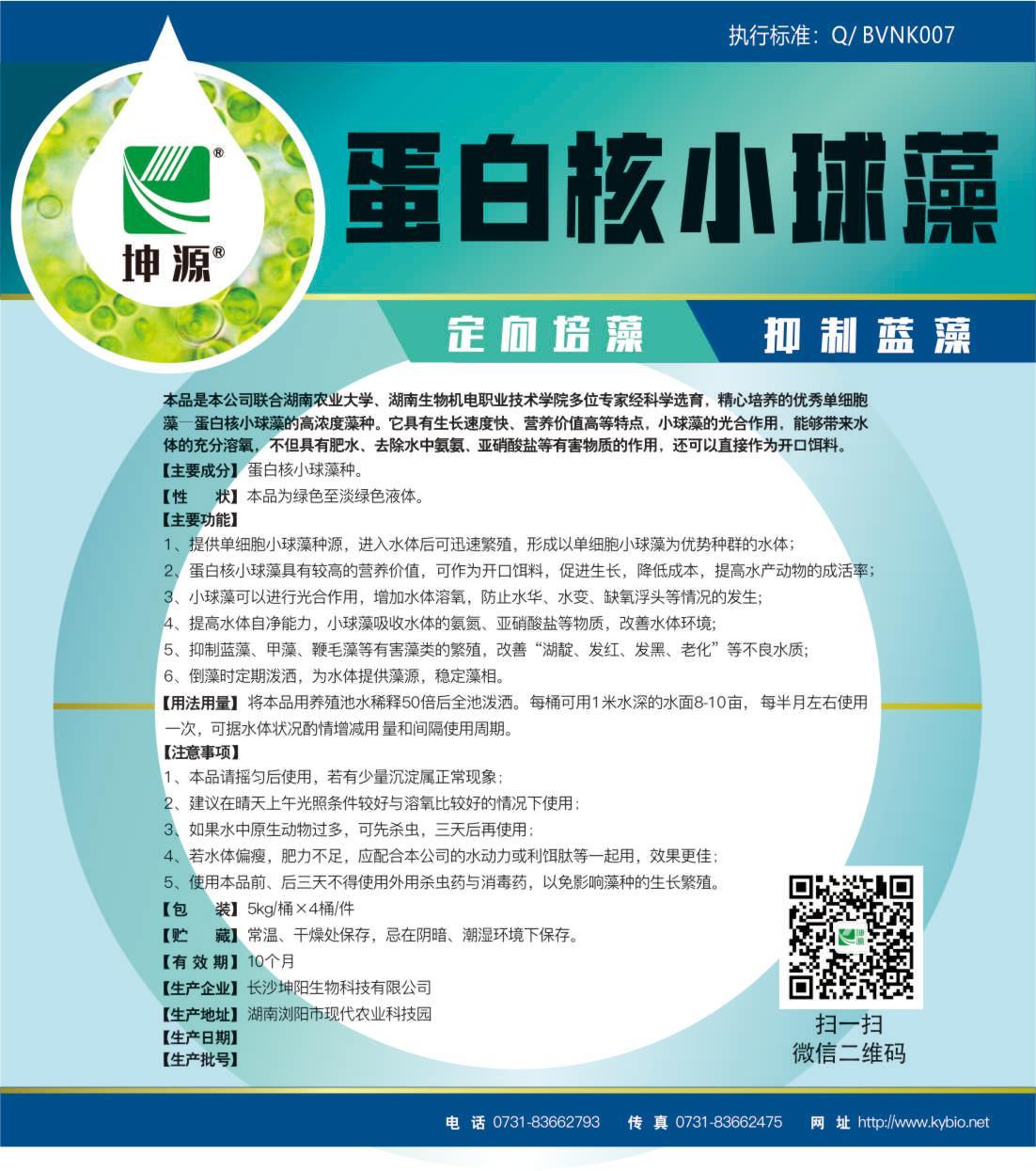 蛋白核小球藻