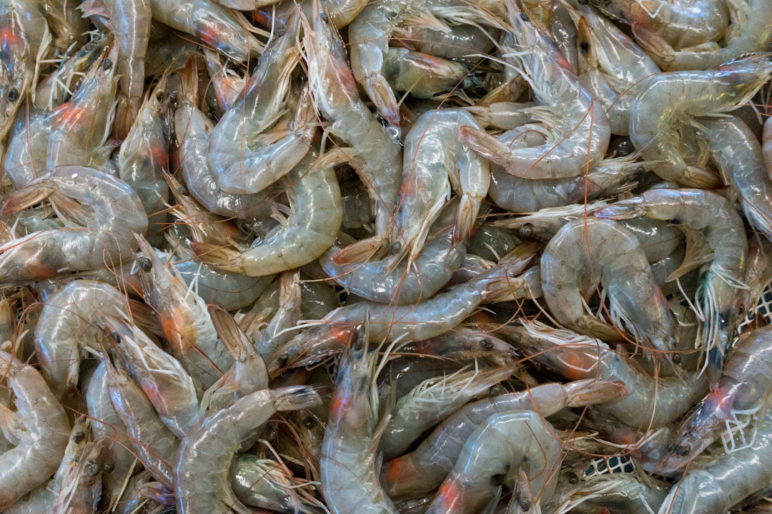 農業(yè)農村部關于加強水產養(yǎng)殖用投入品監(jiān)管的通知