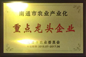 重點(diǎn)龍頭企業(yè)