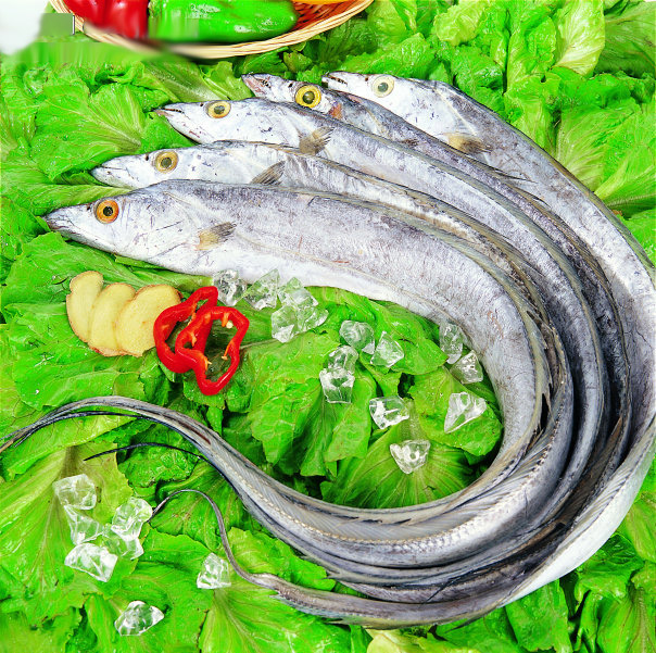 帶魚