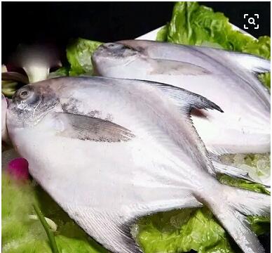 鯧魚