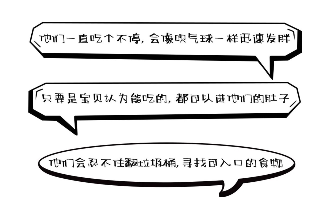 小胖威利关爱日丨关注“吃不饱的天使”