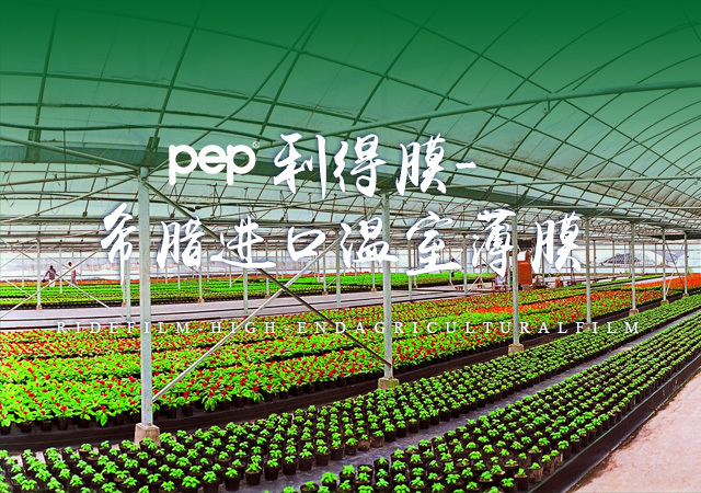  pep利得膜pop利得膜