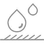 东正 东正