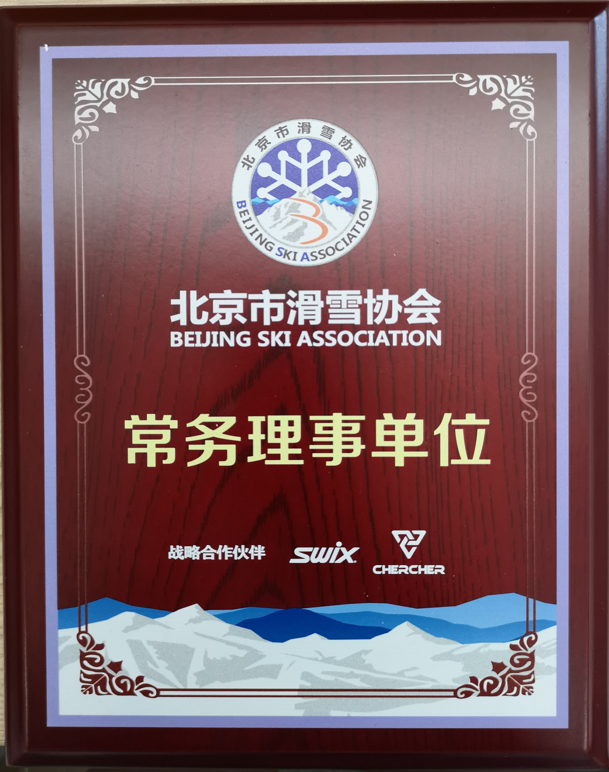 北京市滑雪協會常務理事單位