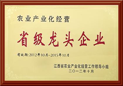省級(jí)龍頭企業(yè)