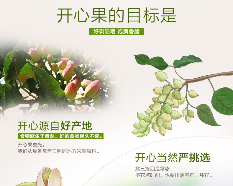 開心果