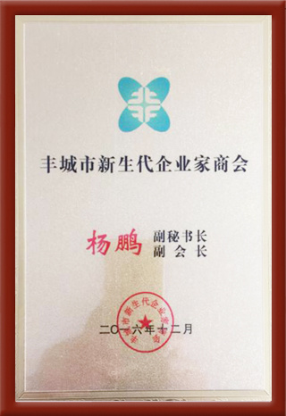 豐城市新生代企業(yè)家商會