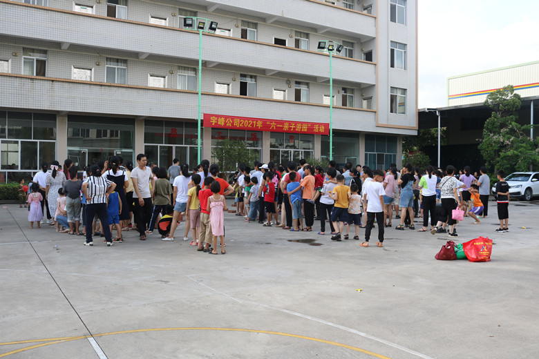 宇峰公司组织开展“六一亲子”游园活动
