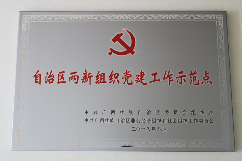 宇峰公司党委荣获“自治区两新组织党建工作示范点”称号