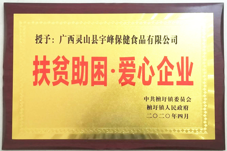 公司为灵山县檀圩镇2020年贫困人口住房保障捐款