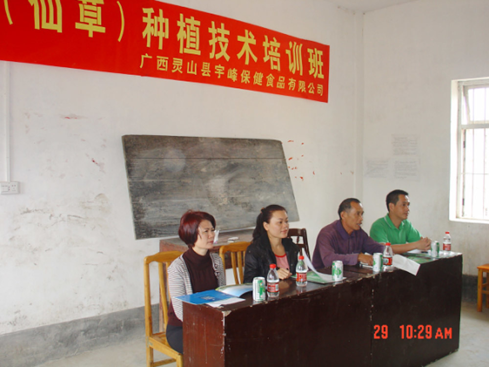 宇峰公司与灵山县扶贫办、烟墩镇政府联合举办仙草种植技术培训班