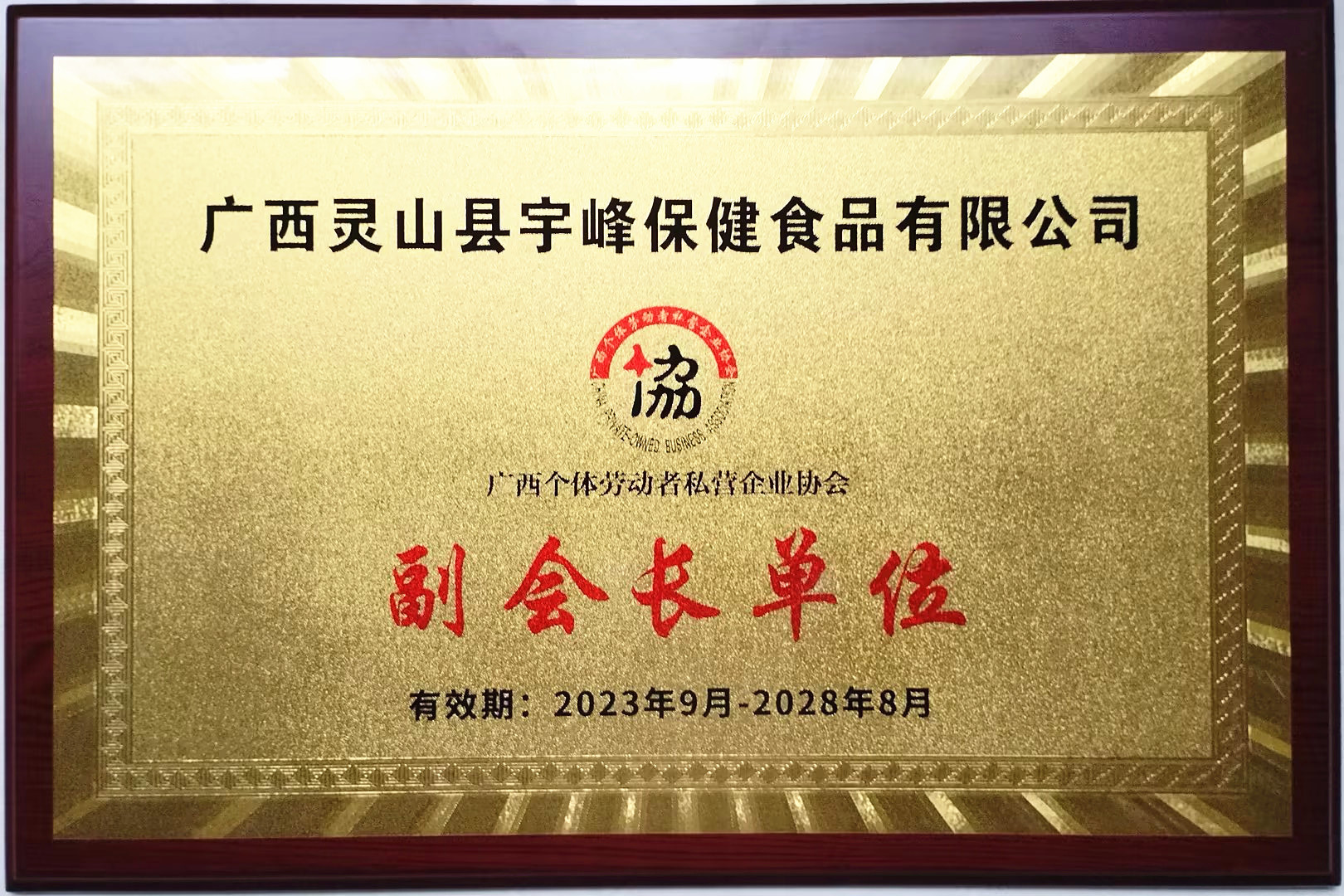 宇峰灵山公司当选为广西个体劳动者私营企业协会副会长单位