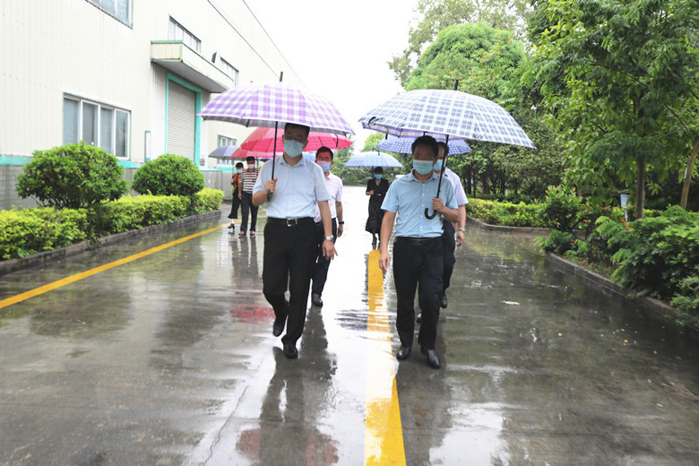 钦州市副市长黄毅到公司调研