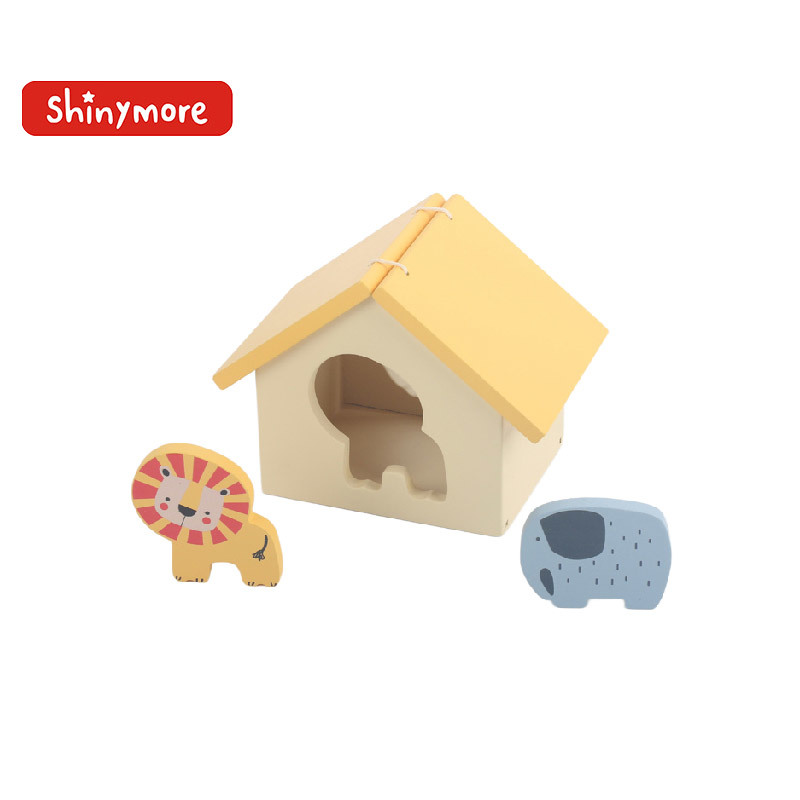 House shape sorter
