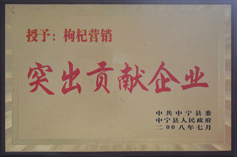 突出贡献企业