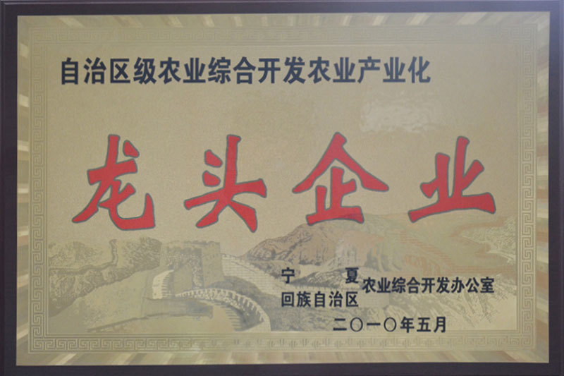 龙头企业