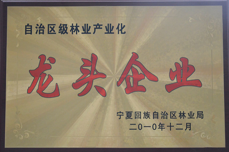 龙头企业