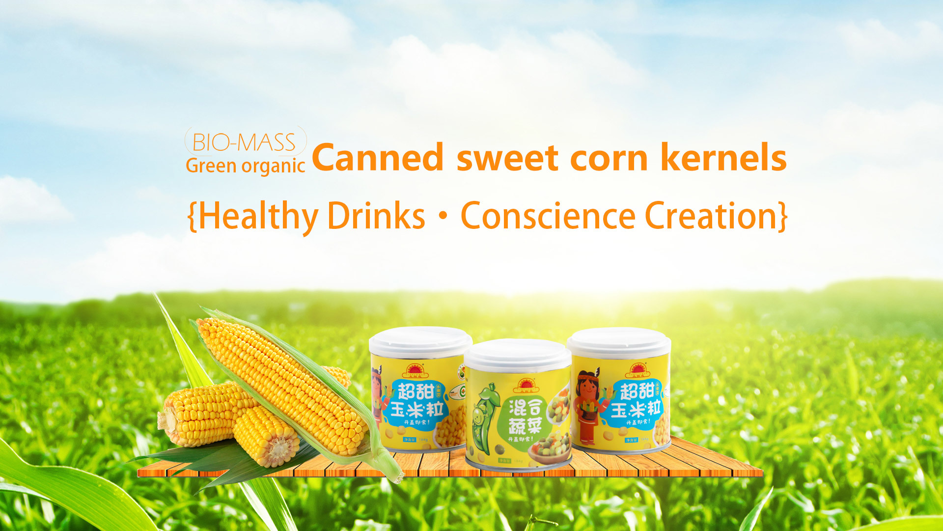 Sunflower Food Industry (Xinfeng) Co., Ltd.