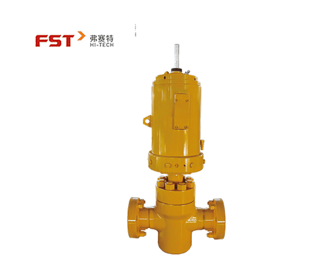 Surface Safety Valve