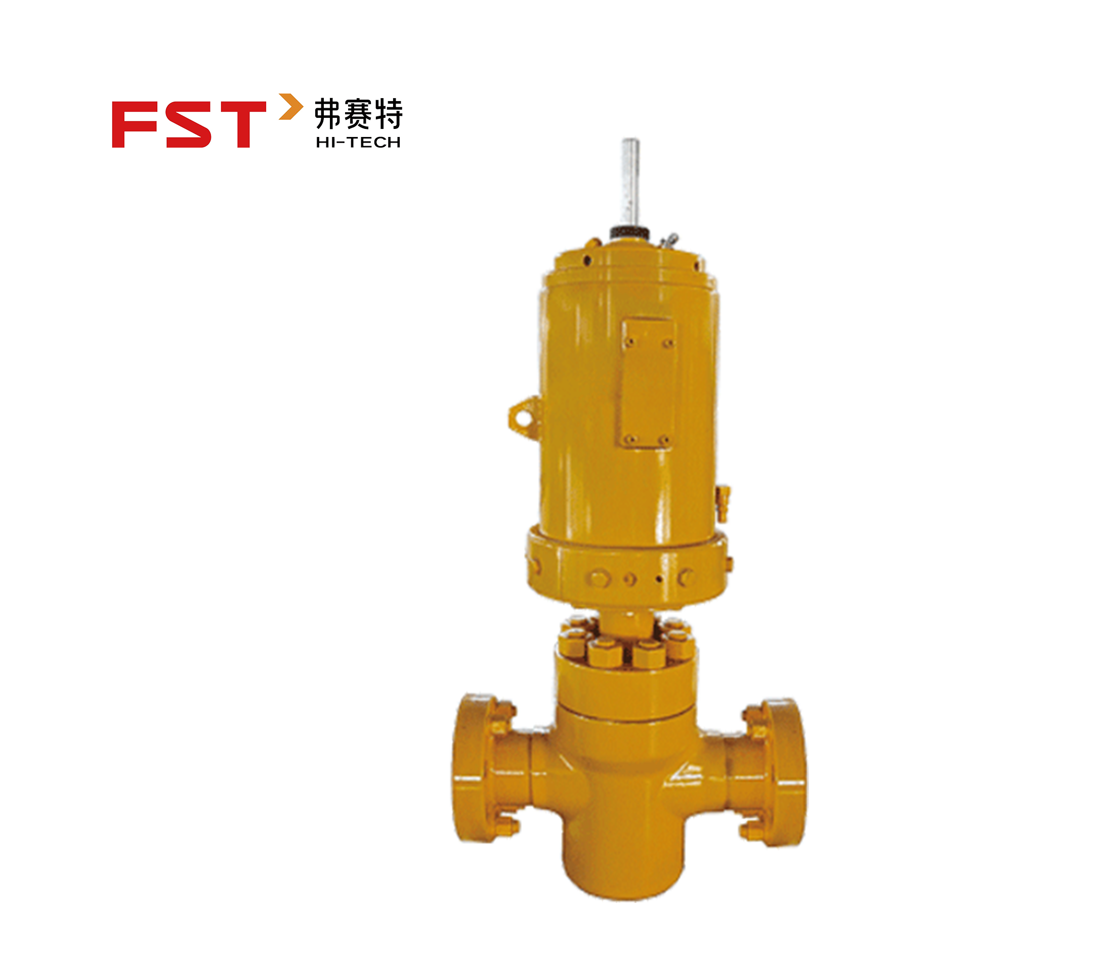 Surface Safety Valve