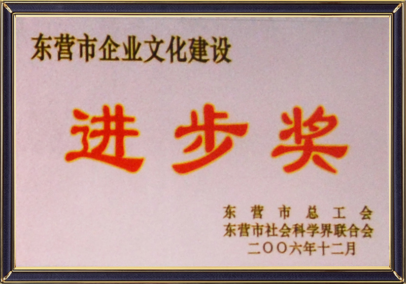 东营市企业文化建设进步奖